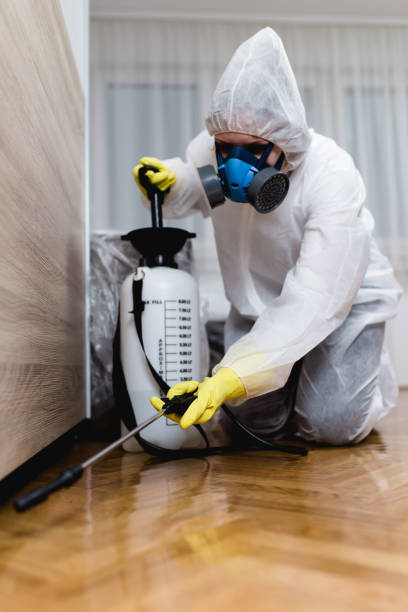 Best Residential Pest Control  in Rosenhayn, NJ